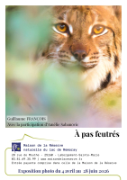 Exposition artistique - A pas feutrés